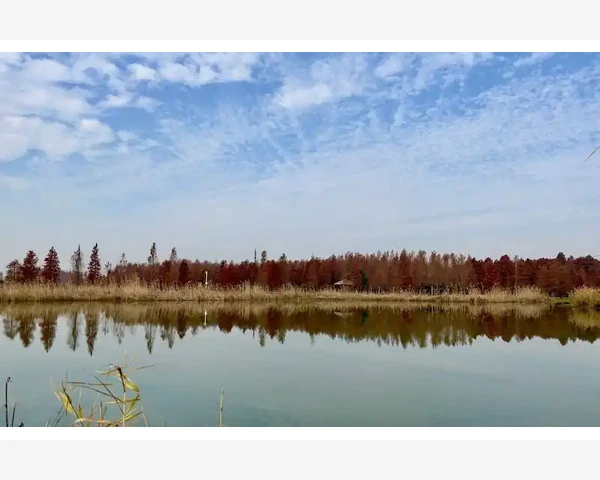 氧气罐拔起后泡了怎么办？