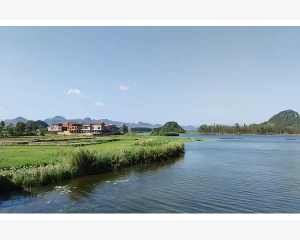 中医辩证：如何识别脾胃虚寒症状与调理方法