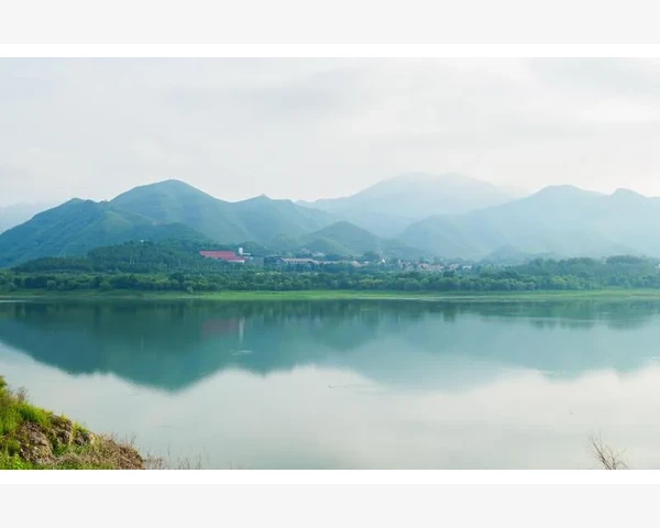中医运动养生：保健之道